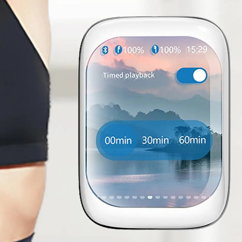 Smart Touch Screen Earbuds.